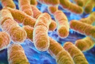 Gli effetti a lungo termine dei Probiotici nella terapia della colite ulcerosa: studio clinico.