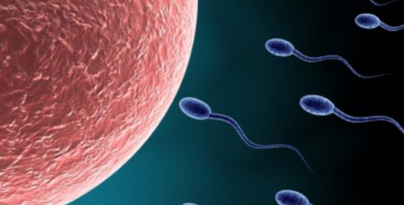 Probiotici e Sterilità Femminile